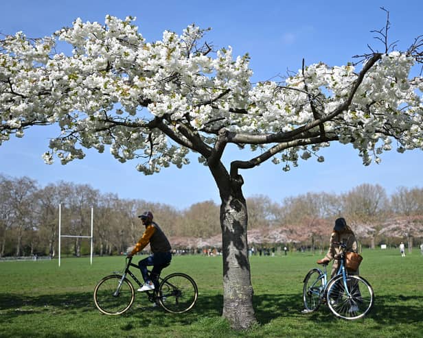 Cyclists in the park,