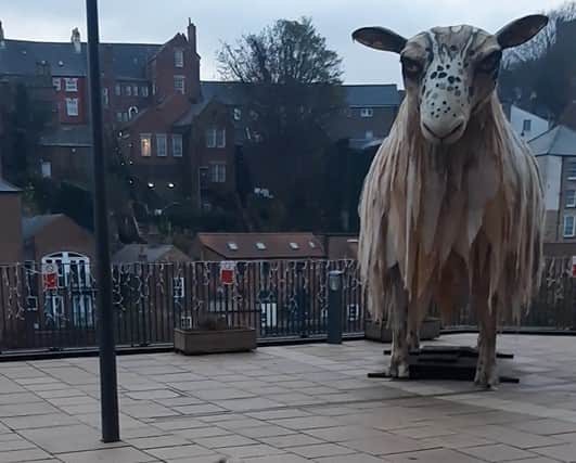 This giant sheep was a herding task too far for Daisy the dog.