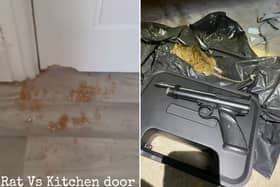 A mum was left horrified as a rat chewed through her kitchen door in the night in Doncaster, South Yorkshire