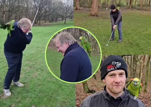 The friendly parrot decided it wanted in on the action, and perched on the backs and shoulders of two of the golfers as they attempted to take their shots