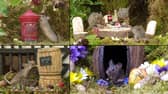 Mice in tiny fantasy houses created by Simon Dell in his garden in Sheffield, South Yorkshire. 