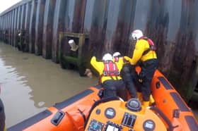 RNLI rescue dog after 14ft fall into river