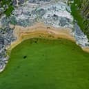 Toxic blue-green algae poses a life-threatening risk to dogs. (Photo: PONTUS LUNDAHL/TT News Agency/AFP via Getty Images)
