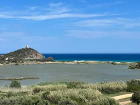 The sea around Sardinia is spectacularly blue on a summer's day (Photo: Amber Allott)