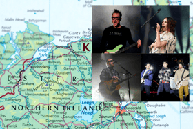 The likes of Blink-182, PJ Harvey, Pixies and The Jonas Brothers are set to perform in North Ireland before the end of 2024. 