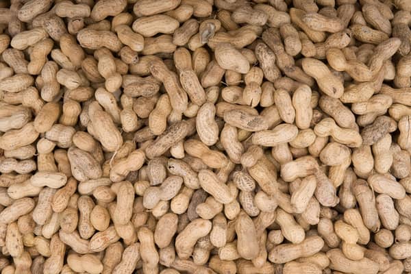 Chocolate company Prestat has recall some of its items due to an undeclared peanut allergen (Photo by AFP via Getty Images)