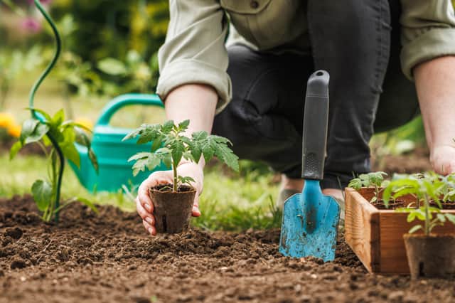 The average gardener spends three hours a week tending to their outdoor space, with TV programmes, social media, and gaming among the biggest inspirations