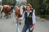 Margaret Lees with her cows as they cross the road from Park Farm in Ramsbottom.