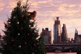 An ultra-realistic animatronic orangutan climbs a 20ft Christmas Tree at Coin Street Observation Point, London to highlight the threat to the survival of the species due to deforestation caused by palm-oil production, following Iceland's Christmas advert being banned.
