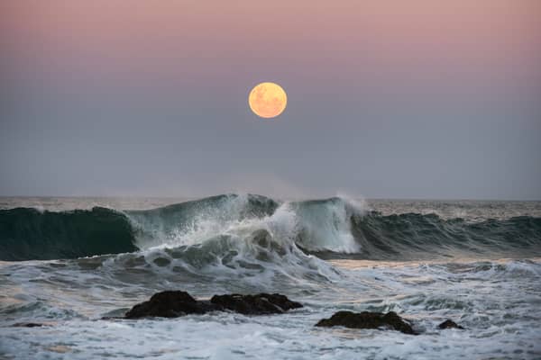 The supermoon, called Beaver Moon, rises in the UK at around 3.30pm GMT.