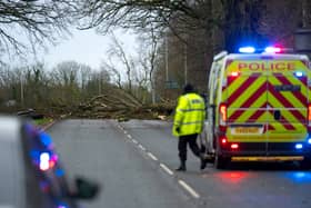 Paul Fiddler died after a tree fell onto his Citroen van on the A59 at Longton