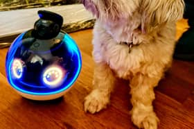 review of the Enabot X pet and family companion robot