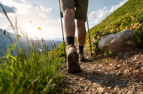 More people want to go on walks this year