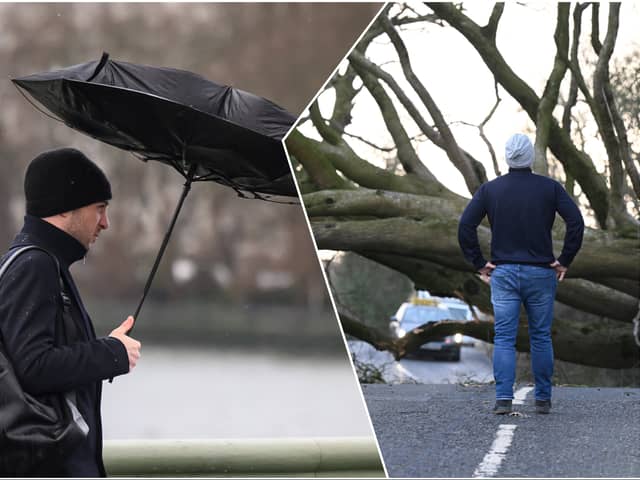 (Photos: Getty Images)