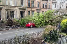 A huge tree pulled down power lines and smashed a car when it crashed down in Glasgow during Storm Éowyn. 