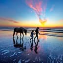Amelia Island in Florida has 13 miles of picturesque and pristine beaches