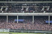 Four racing fans will have the chance to jet off to Benidorm and watch the famous horse racing event