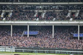 Four racing fans will have the chance to jet off to Benidorm and watch the famous horse racing event