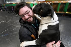 SANDWELL COPYRIGHT NATIONAL WORLD  TIM THURSFIELD -06/03/25First day of Crufts at NEC, Birmingham.Reporter Daniel Walton with Murphy from Dudley.