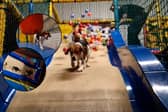Inside Soft Paws play area with a huge ball pit and slide