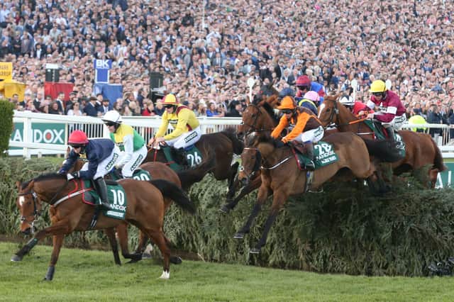 11 per cent estimate they could get around the entire Grand National course in less than 10 minutes.
