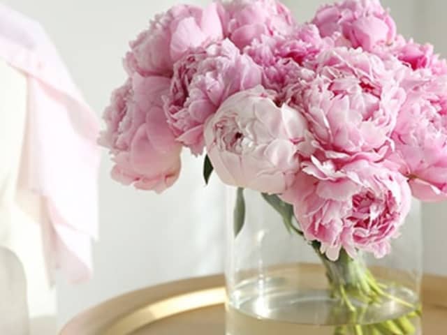 Treat yourself to a beautiful bouquet of Peonies from Appleyard - 30% off with this exclusive code