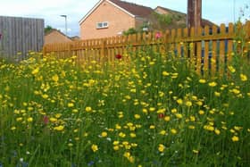 Members of the public are being encouraged not to mow their lawns through May.