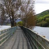 Carlingford Lough Greenway. Pic: carlingfordloughgreenway.com