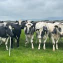 James Henderson will host an AgriSearch farm walk on June 26.