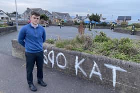 Cllr Michael Rice beside the graffiti in Kilkeel.