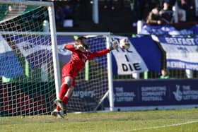 Newry City goalkeeper Steven Maguire was called into action to thwart Isaac Westendorf of Friday evening. Picture: Philip Magowan/INPHO/PressEye