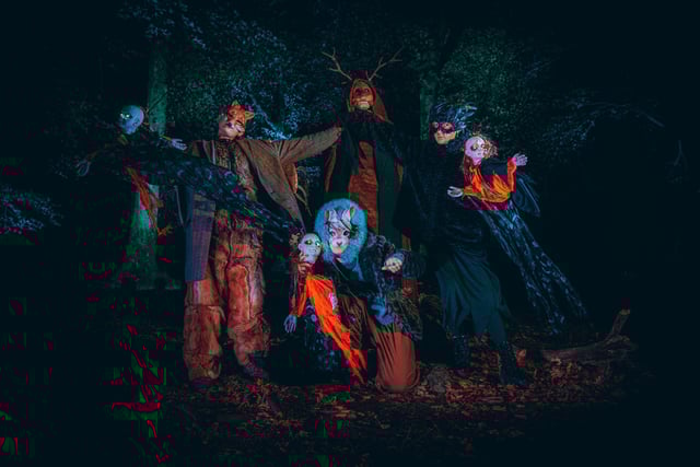 Spooky characters, props and lights lined the trails through Slieve Gullion Forest Park.