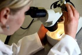 The purpose of the review is to look again for abnormalities to double check that the correct information was provided. 