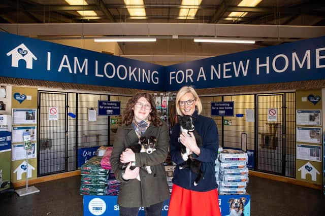 Dara McAnulty and USPCA CEO Nora Smith holding rescue puppies Bert and Ernie.
