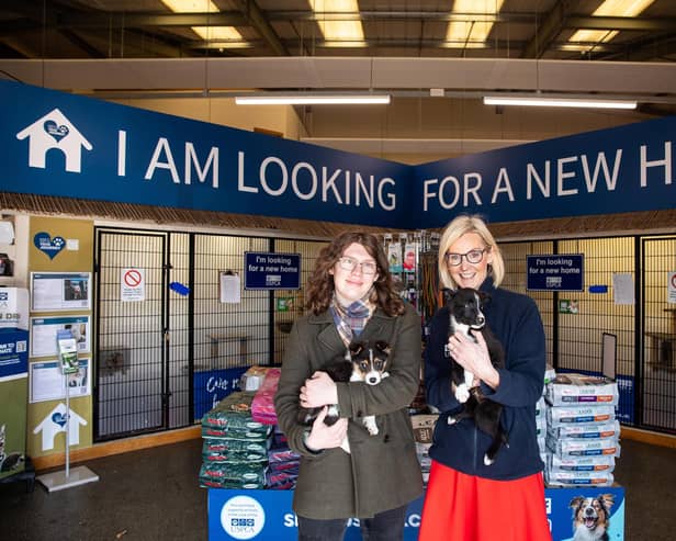 Dara McAnulty and USPCA CEO Nora Smith holding rescue puppies Bert and Ernie.