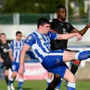 Newry City's Barney McKeown clears the ball under pressure from Glentoran striker Chukwuemeka Uzokwe at The Showgrounds. Pic: Brendan Monaghan