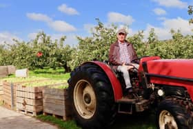 Bramley Apple Baking & Orchard Visit, County Tyrone