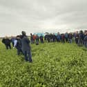 Attendees at the recent GrassCheck farm walk viewing one of the multi-species swards on James Henderson’s farm