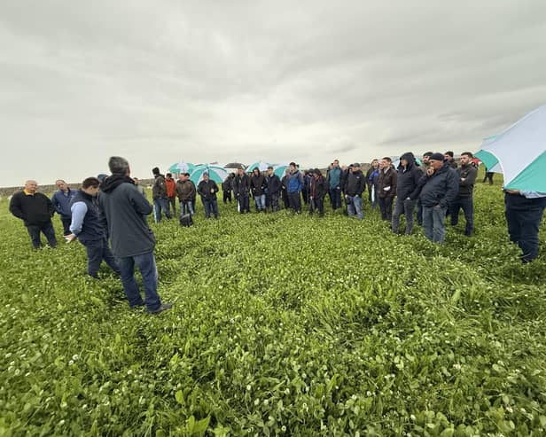 Attendees at the recent GrassCheck farm walk viewing one of the multi-species swards on James Henderson’s farm