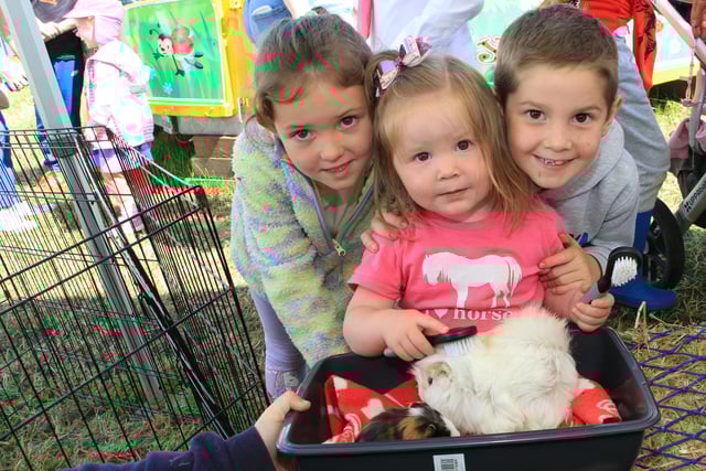 Not every day you get the chance to brush a Guinea pig and the kids were really enjoying themselves at the Kidz Farm. INNR2747