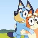 Bluey and Bingo