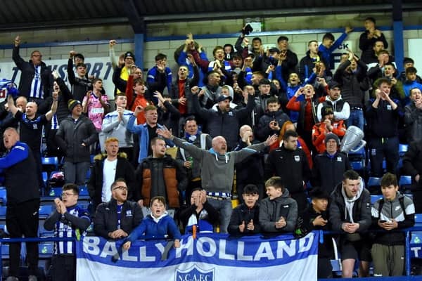 Newry City fans.