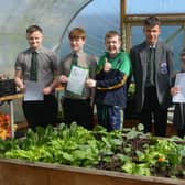 Pupils from St Louis Grammar School who have been at work in the school's polytunnel.