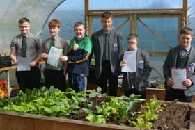Pupils from St Louis Grammar School who have been at work in the school's polytunnel.