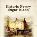 The cover of Hugh McShane's book, 'History Newry - Sugar Island'.