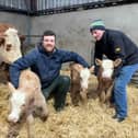 Vet Jason Megarity (centre) and farmer Joseph Rogers with the special delivery of triplet calves.