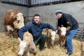 Vet Jason Megarity (centre) and farmer Joseph Rogers with the special delivery of triplet calves.