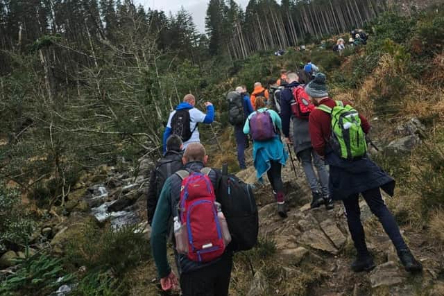 Hikers making their way up Slieve Donard to raise funds for little Harry Collins.