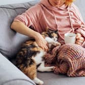 Keeping warm on the couch.