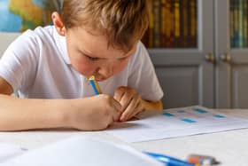 Just one week left to apply for primary school places in Portsmouth

The application window to apply for starting school and junior school places in 2020 will be closing soon - so parents are urged to apply as soon as possible.

Boy doing his homework and studying
